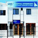 Hospital Veterinario Santiago Norte - Maipú - Santiago R.M: