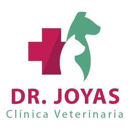 Clínica Veterinaria Dr. Joyas  - Vitacura - Santiago R.M: