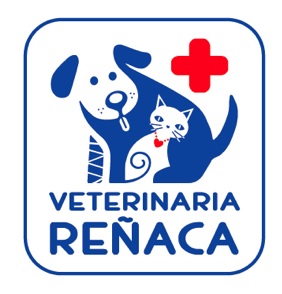 Clinica Veterinaria Reñaca Limitada - Viña del Mar - Valparaiso - Viña del Mar