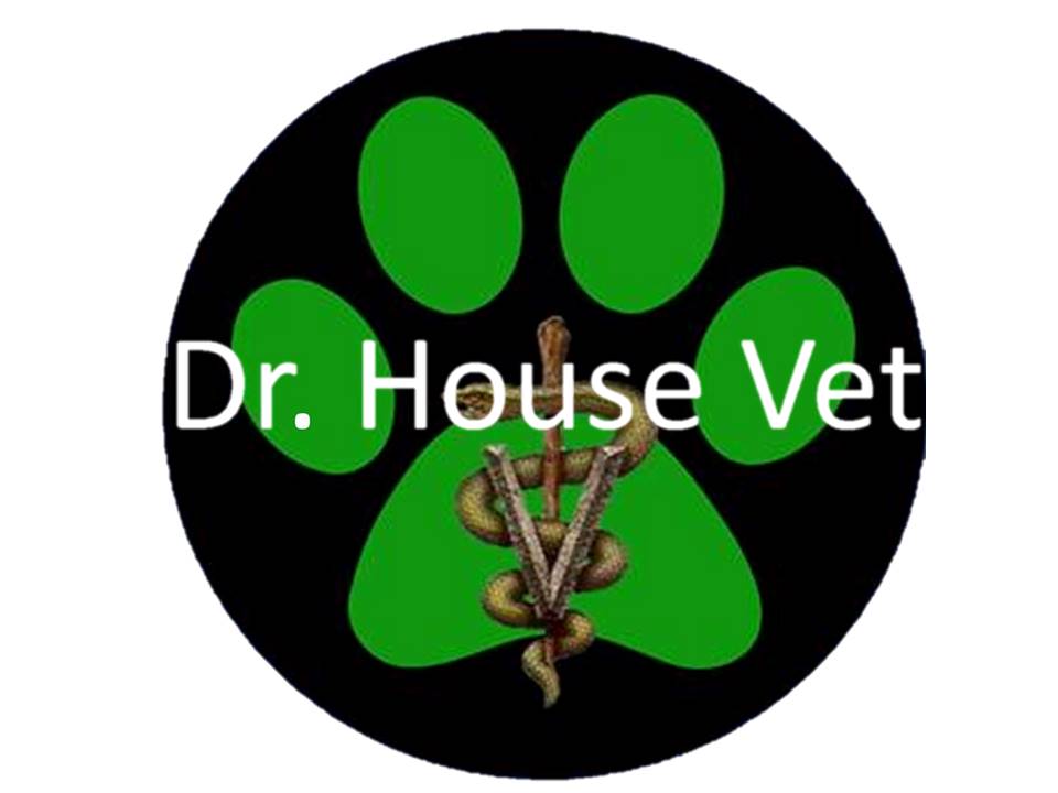CLÍNICA VETERINARIA DR. HOUSE VET - Huechuraba - Región Metropolitana de Santiago